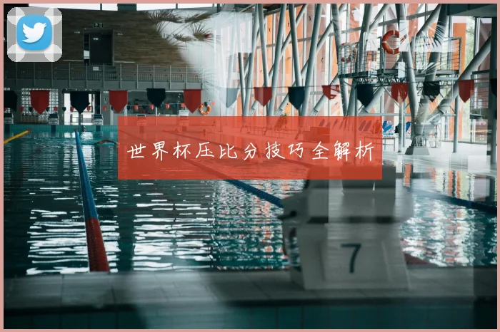 世界杯压比分技巧全解析
