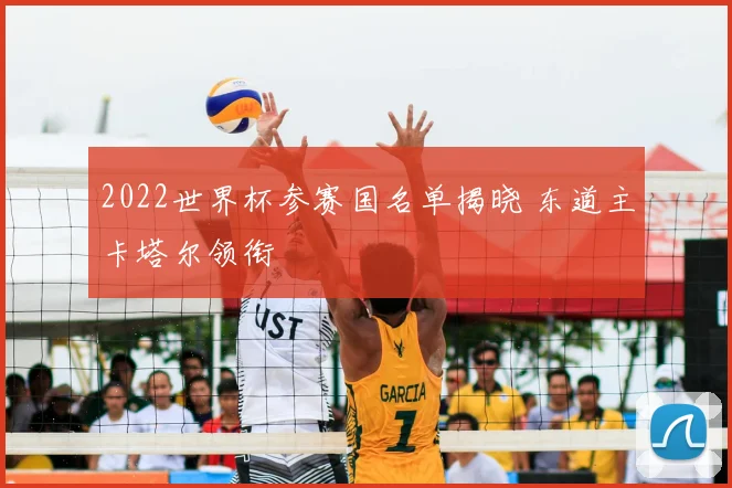 2022世界杯参赛国名单揭晓 东道主卡塔尔领衔