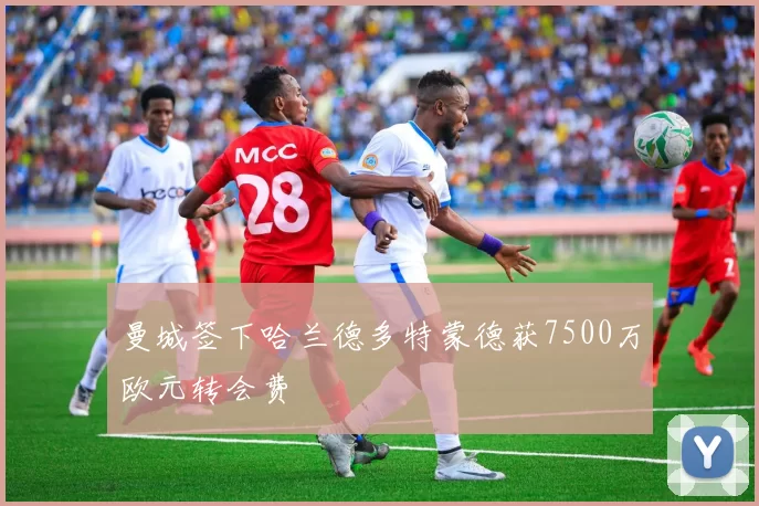 曼城签下哈兰德多特蒙德获7500万欧元转会费